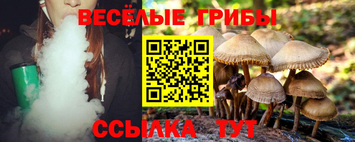 Артёмовский  Галлюциногенные грибы MAGIC MUSHROOMS  Вход с VPN 