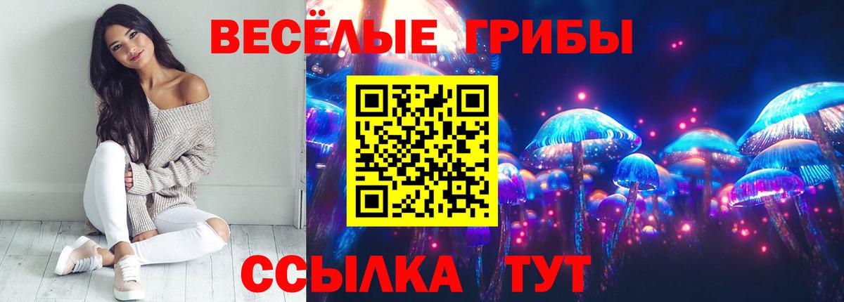 Псилоцибиновые грибы Psilocybe Артёмовский